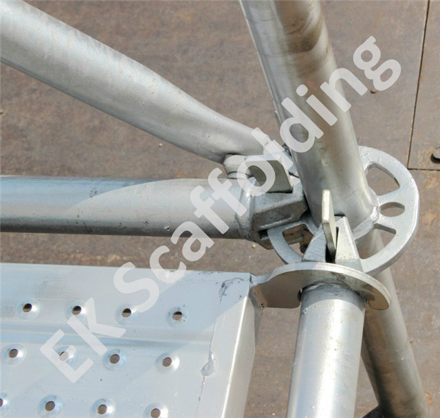 Standard Ringlock Show05