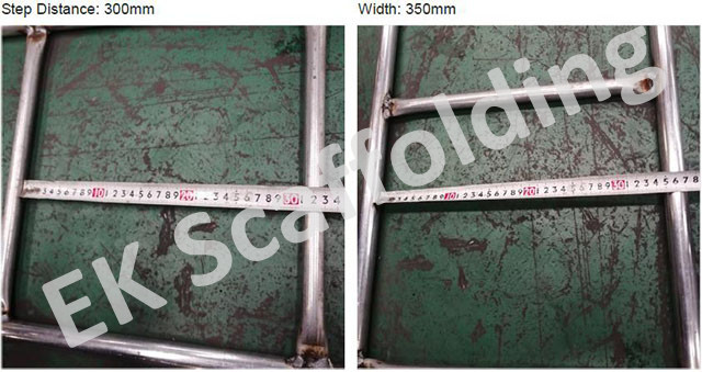 Ocelov&yacute; žebř&iacute;k show 02