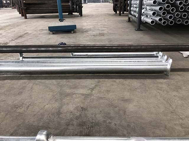 Kivn&iacute; kniha lešen&iacute;