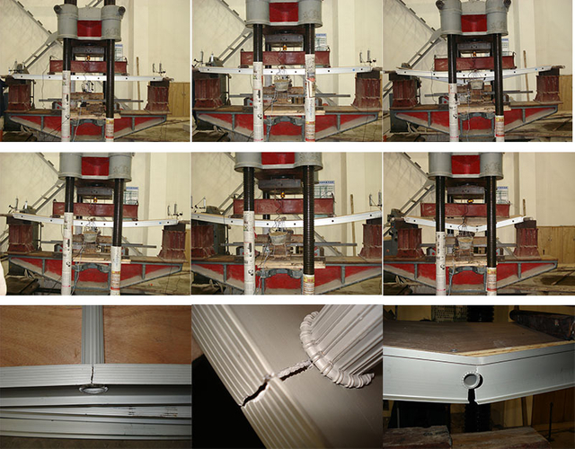 Le&scaron;en&iacute; proch&aacute;zky