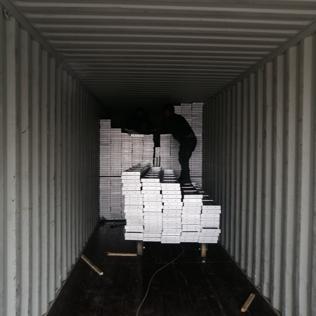 Galvanizované ocelové lešení procházky pro BS1139