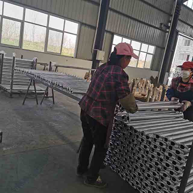 Kivn&iacute; kniha lešen&iacute;