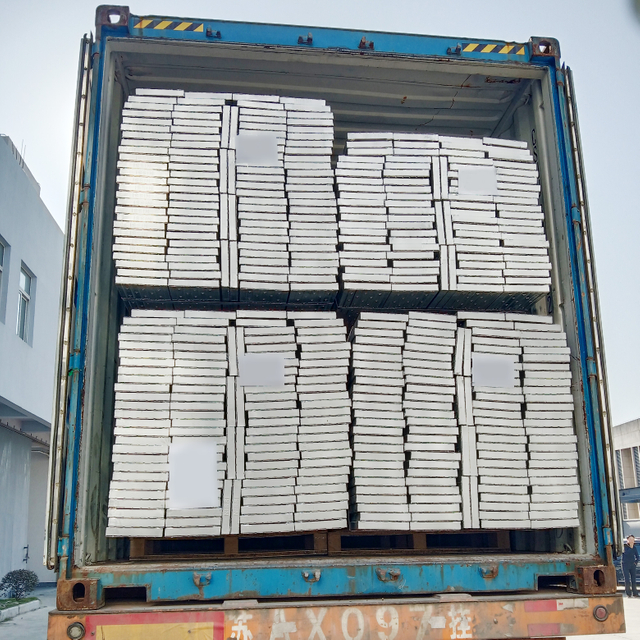 Le&scaron;en&iacute; proch&aacute;zky