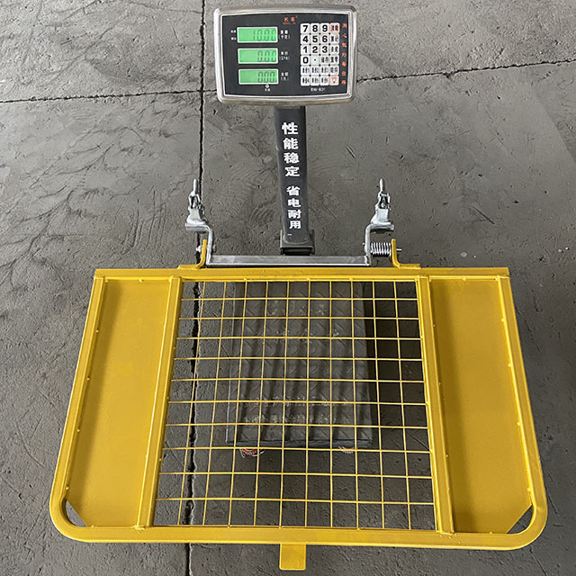 testov&aacute;n&iacute; př&iacute;stupov&eacute; br&aacute;ny po žebř&iacute;ku 